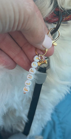 GET CHARMED - White And Gold Dog Collar Charm